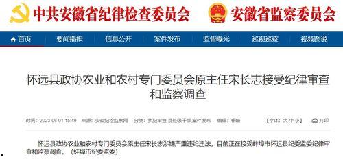 安徽怀远爆料最新新闻消息,怀远突发！最新爆料揭示惊人真相  第3张