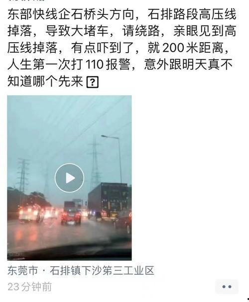 东莞新闻今日爆料视频最新,最新爆料视频揭秘惊人内幕  第3张